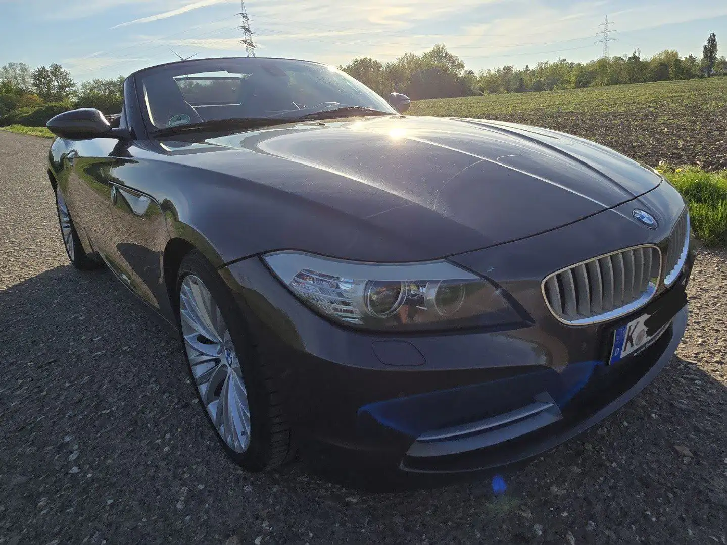 BMW Z4 Z4 sDrive35i Aut. Brown - 1