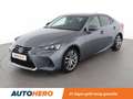 Lexus IS 300 IS 300h Business Grijs - thumbnail 1
