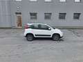 Fiat Panda 0.9 TwinAir Turbo S&S 4x4 OK NEOPATENTATI Bianco - thumbnail 5