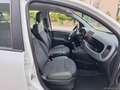Fiat Panda 0.9 TwinAir Turbo S&S 4x4 OK NEOPATENTATI Bianco - thumbnail 14