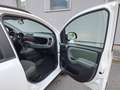 Fiat Panda 0.9 TwinAir Turbo S&S 4x4 OK NEOPATENTATI Bianco - thumbnail 13
