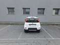 Fiat Panda 0.9 TwinAir Turbo S&S 4x4 OK NEOPATENTATI Bianco - thumbnail 7