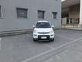 Fiat Panda 0.9 TwinAir Turbo S&S 4x4 OK NEOPATENTATI Bianco - thumbnail 2