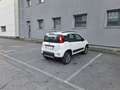 Fiat Panda 0.9 TwinAir Turbo S&S 4x4 OK NEOPATENTATI Bianco - thumbnail 8