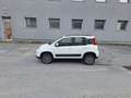 Fiat Panda 0.9 TwinAir Turbo S&S 4x4 OK NEOPATENTATI Bianco - thumbnail 4