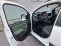 Fiat Panda 0.9 TwinAir Turbo S&S 4x4 OK NEOPATENTATI Bianco - thumbnail 9