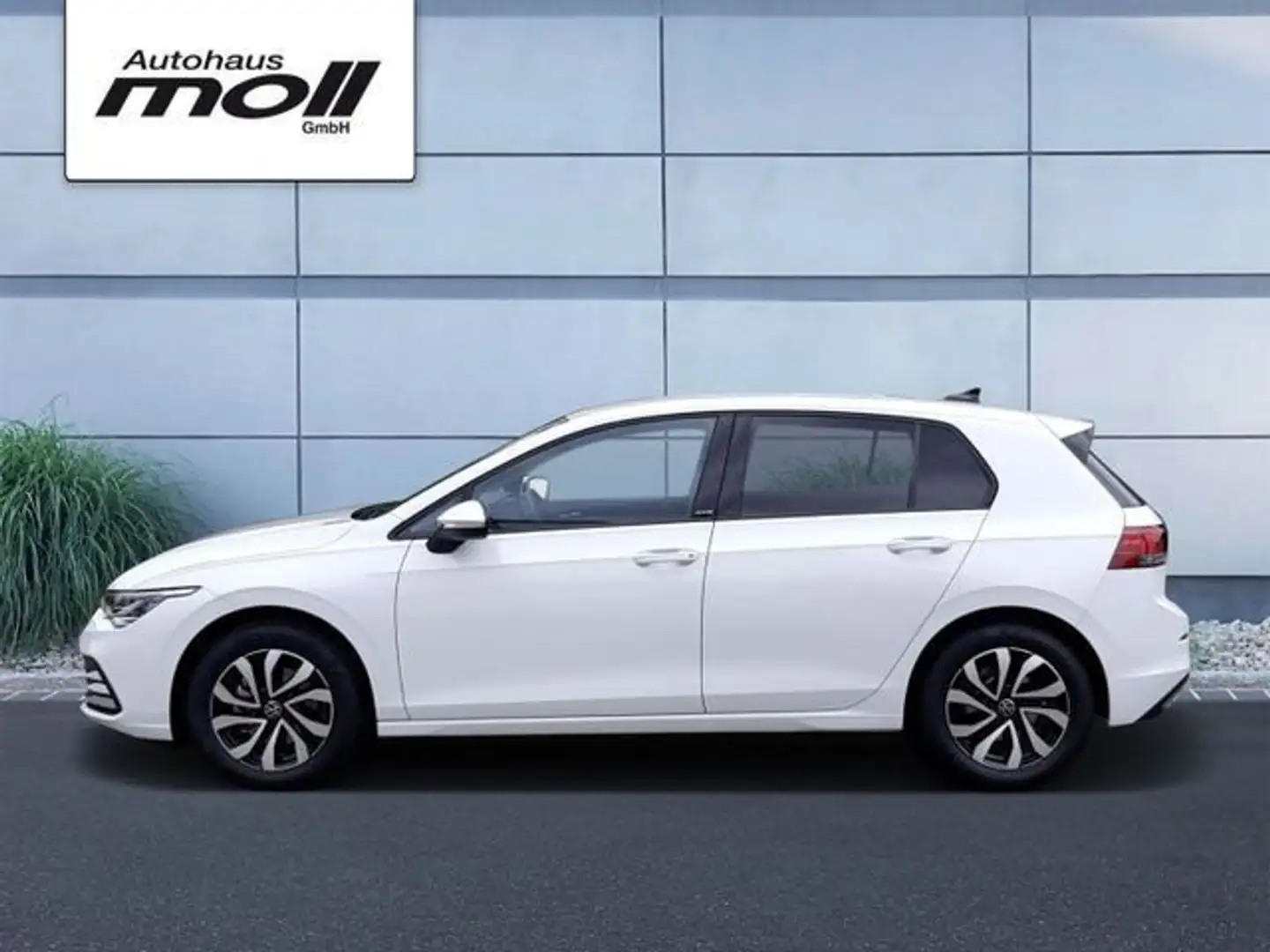 Volkswagen Golf ACTIVE 1.0 TSI 6-Gang Blanc - 2
