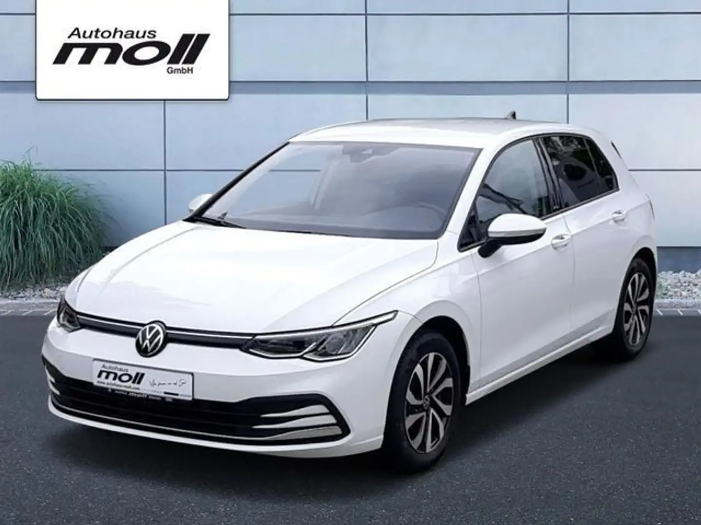 Volkswagen Golf ACTIVE 1.0 TSI 6-Gang Blanc - 1