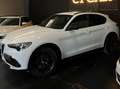 Alfa Romeo Stelvio Stelvio 2017 2.2 t Q4 190cv Executive auto my19 Weiß - thumbnail 4