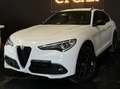 Alfa Romeo Stelvio Stelvio 2017 2.2 t Q4 190cv Executive auto my19 Weiß - thumbnail 1