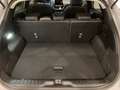 Ford Puma Puma II 2020 1.0 ecoboost h Titanium s Grau - thumbnail 13