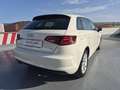 Audi A3 Sportback 1.6TDI Attraction EEL S-T 105 Blanco - thumbnail 12
