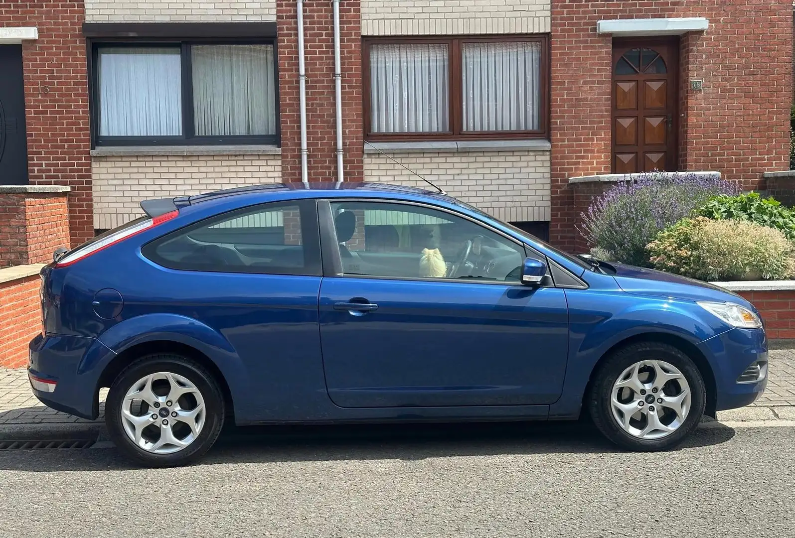 Ford Focus Focus 1.6 TDCi Titanium Blauw - 1