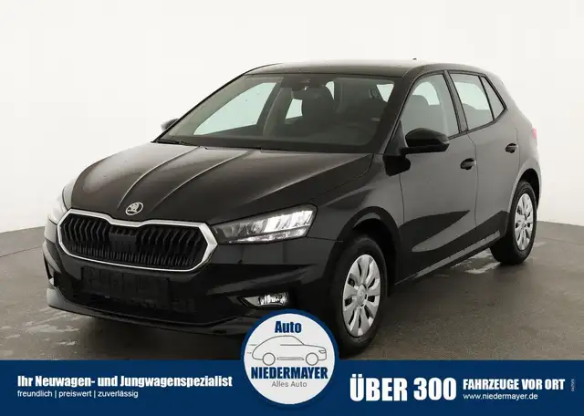 Skoda Fabia 1.0 TSI Selection, Tempomat, Ladeboden, Park, Wint