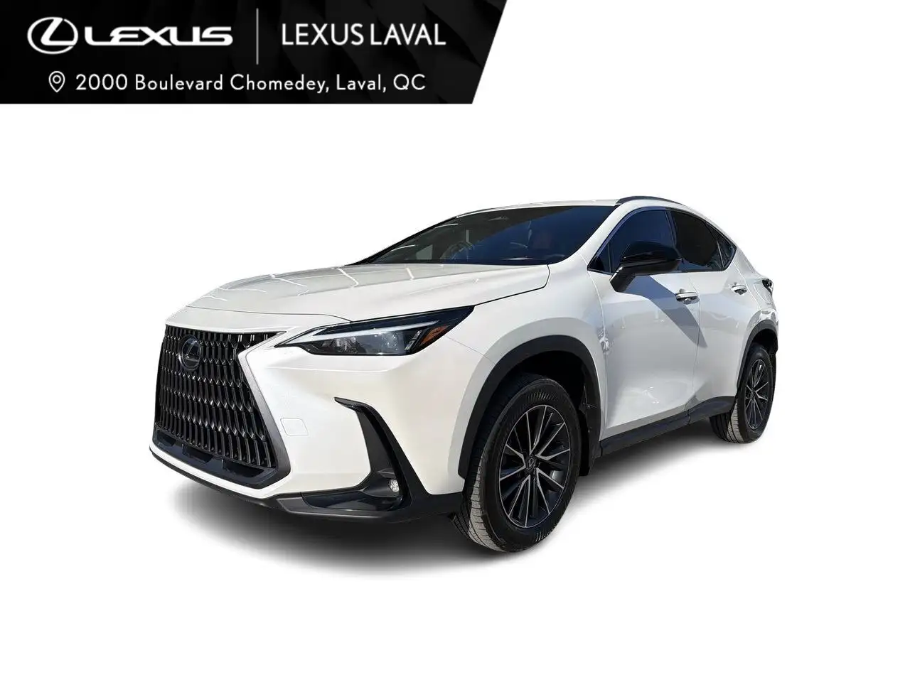 Lexus NX снимка Lexus NX
