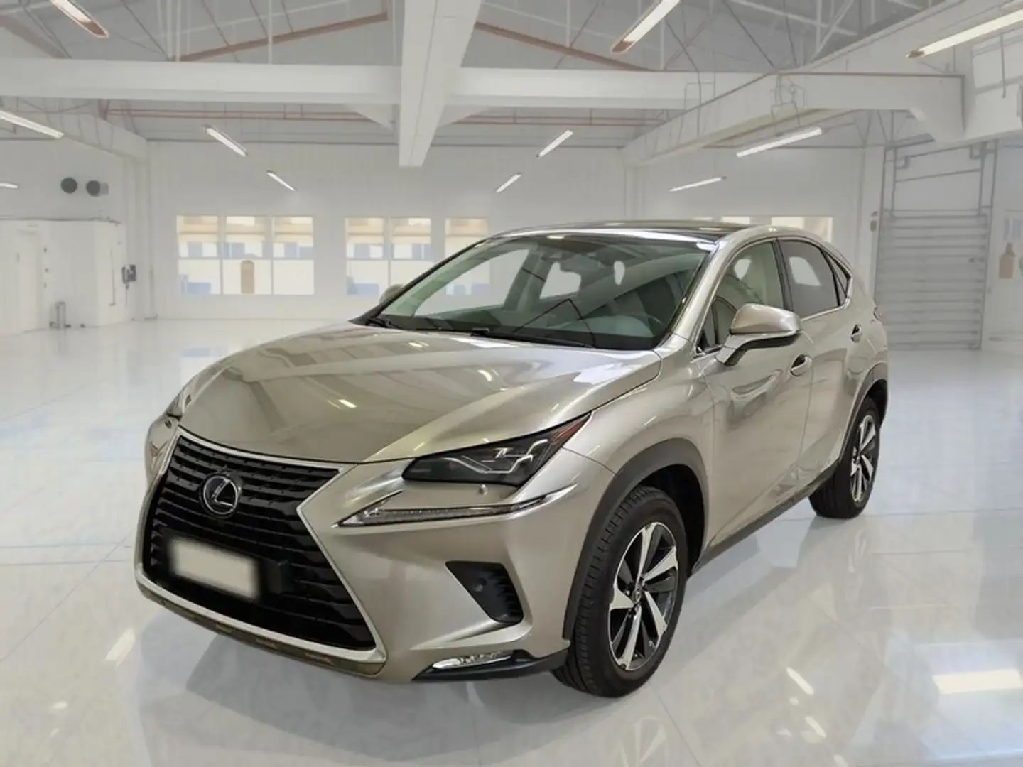 Lexus NX 300h Hybrid Luxury 4WD Autom. - 1