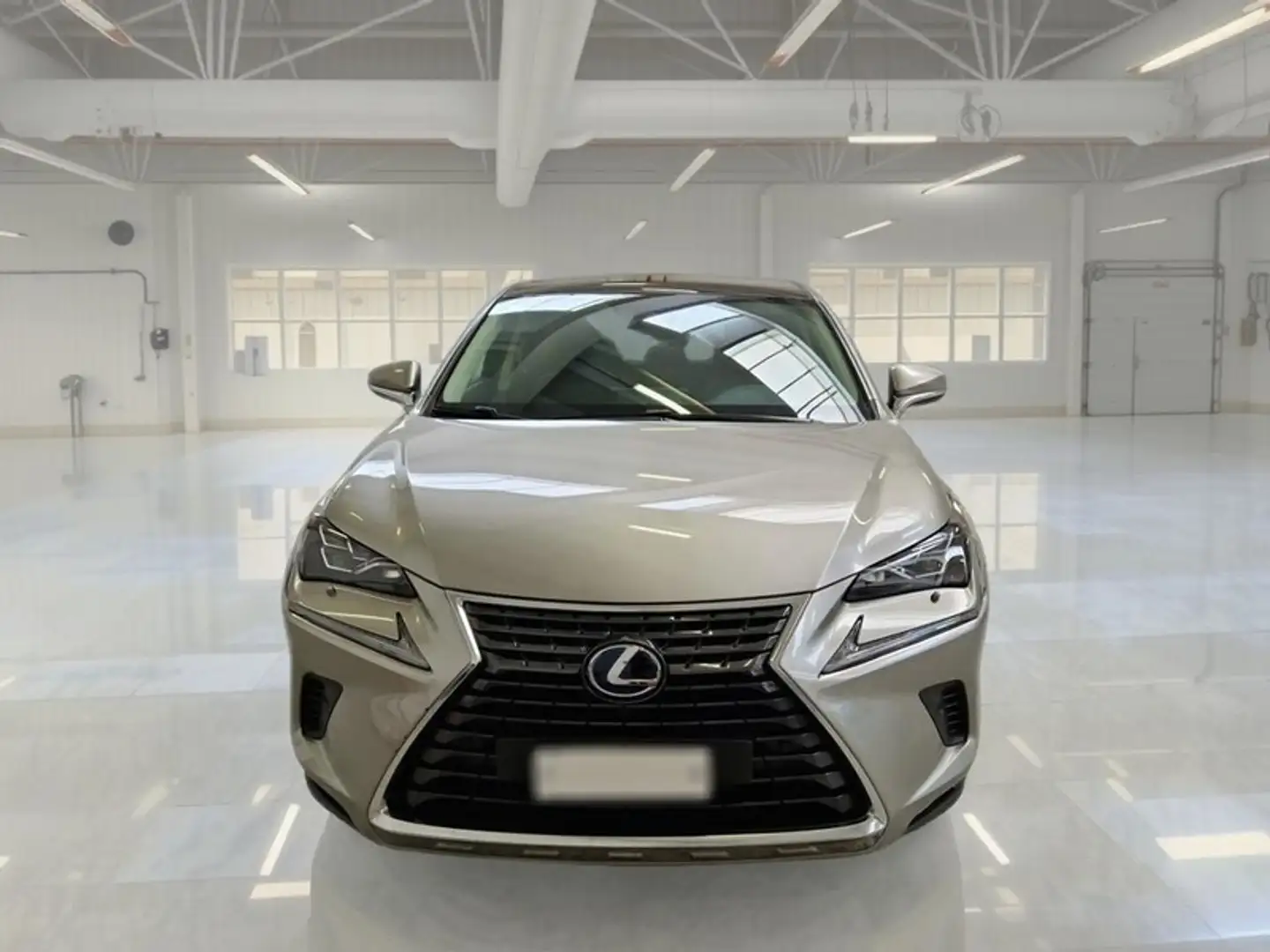 Lexus NX 300h Hybrid Luxury 4WD Autom. - 2