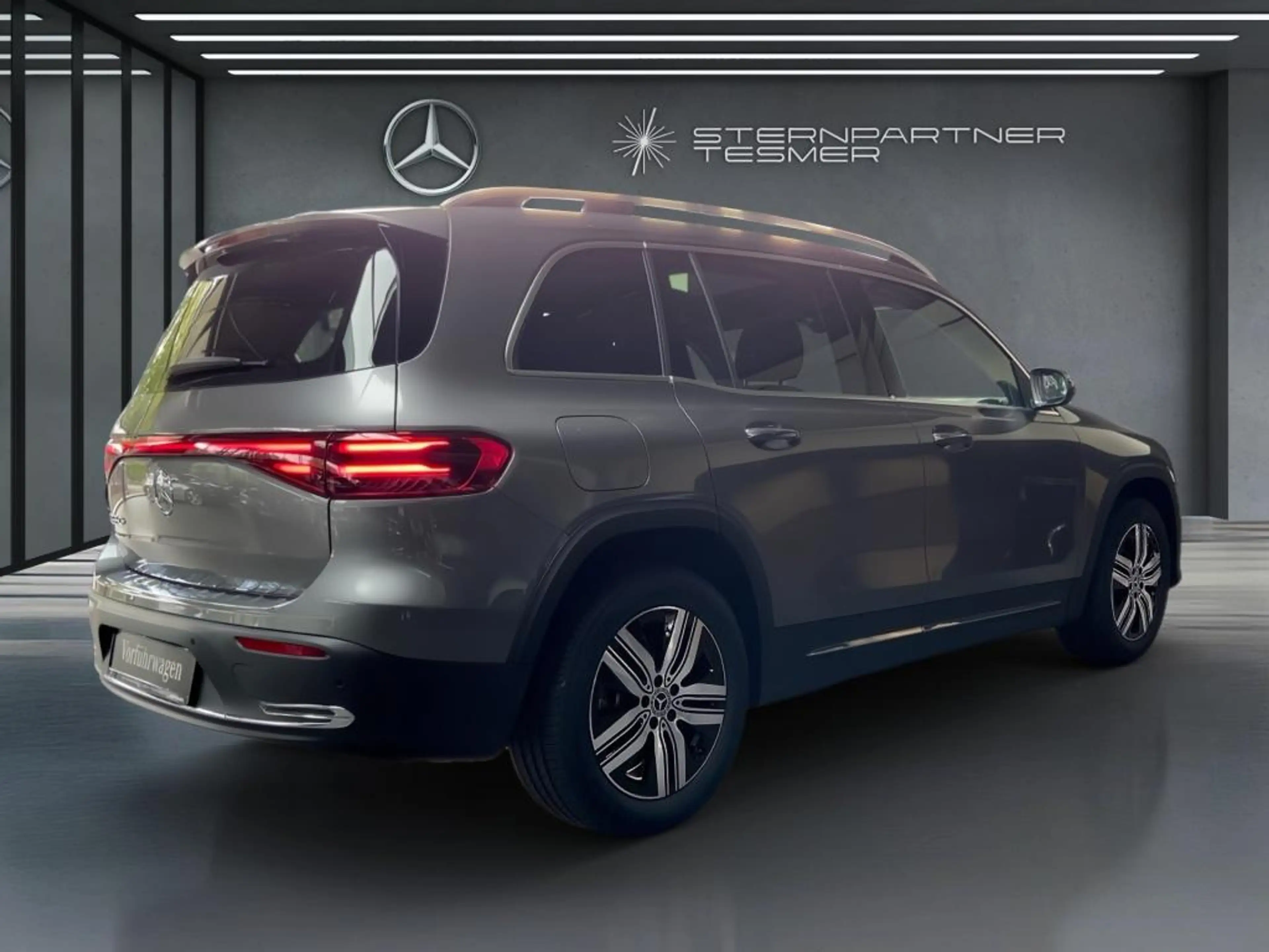 Mercedes-Benz EQB 250 + MBUX+Memory+Progressive+Ambiente+KAMERA — photo 11