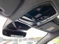 Renault Rafale 1.2 E-TECH 4X4 300 ATELIER ALPINE PACK VISION / TOIT PANO / HARMAN KARDON Schwarz - thumbnail 48