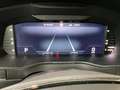 Skoda Superb Scout+DSG+4x4+Stand.H Argent - thumbnail 11