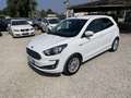 Ford Ka/Ka+ Ka + 1.2 Ultimate 85cv my18 PARI AL NUOVO Bianco - thumbnail 10