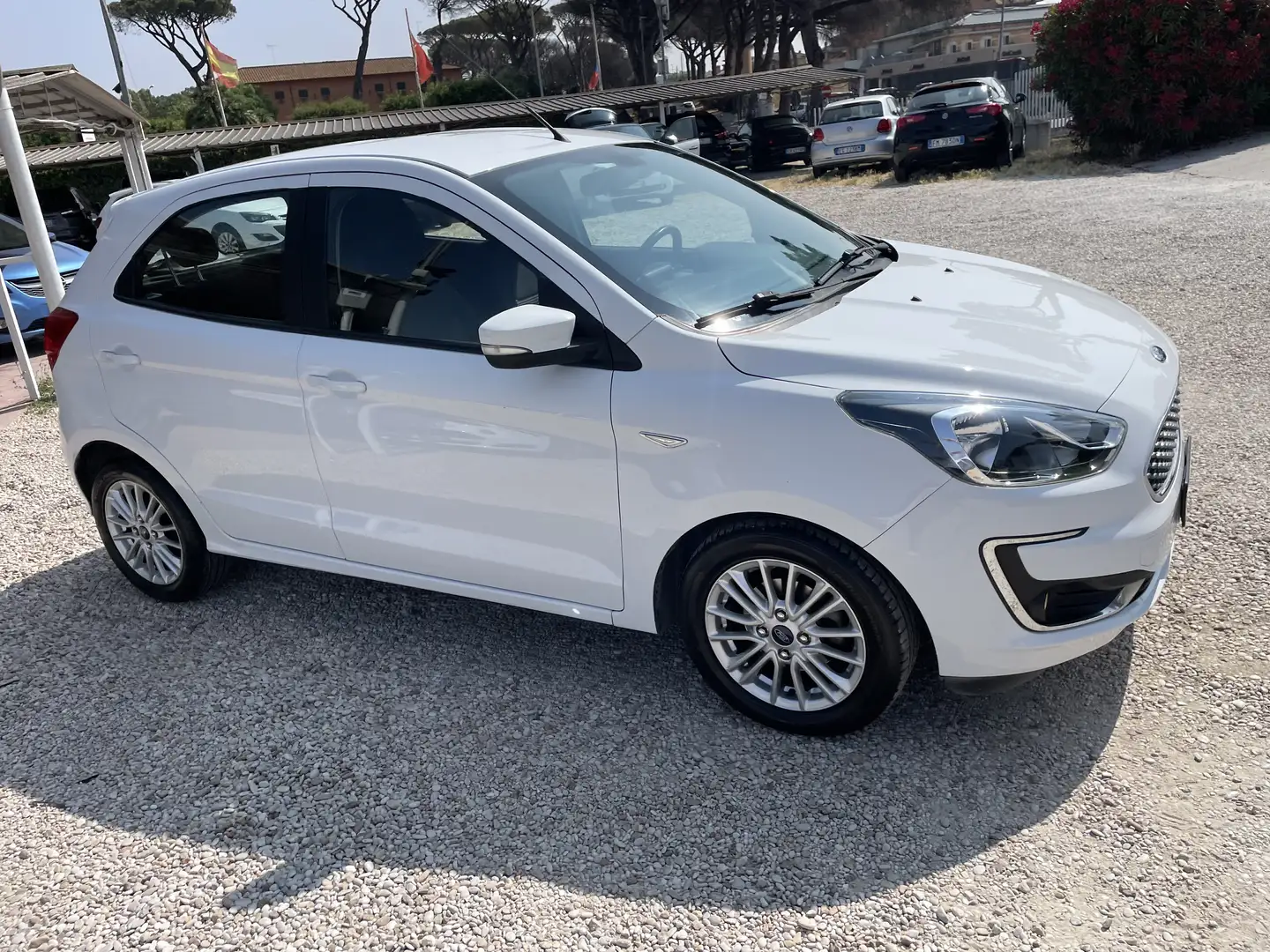 Ford Ka/Ka+ Ka + 1.2 Ultimate 85cv my18 PARI AL NUOVO Bianco - 2