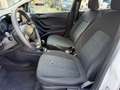 Ford Fiesta 1.5 EcoBlue 5 porte Business Blanc - thumbnail 14