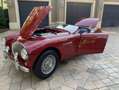 Austin-Healey 100 Roadster Rouge - thumbnail 5