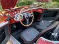 Austin-Healey 100 Roadster Rouge - thumbnail 9
