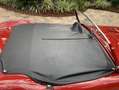 Austin-Healey 100 Roadster Rot - thumbnail 7