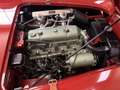 Austin-Healey 100 Roadster Rouge - thumbnail 11