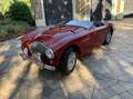 Austin-Healey 100 Roadster Rot - thumbnail 1