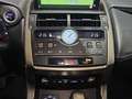 Lexus NX 300h 2.5 Business Navigation 2WD Argent - thumbnail 23