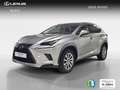 Lexus NX 300h 2.5 Business Navigation 2WD Argent - thumbnail 1