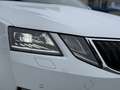 Skoda Octavia 2,0 TDI Style Limited DSG *Virtual* Weiß - thumbnail 7