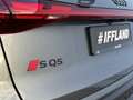 Audi SQ5 Luft Optik HUD STDHZG Grau - thumbnail 22