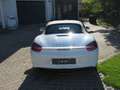 Porsche Boxster Black Edition Weiß - thumbnail 17
