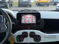 Fiat New Panda Cross +PDC+Klima+Carplay+Spurhalte+Schildererkennu Weiß - thumbnail 14