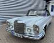 Mercedes-Benz S 250 SE / C W111 Cabriolet Hochkühler Weiß - thumbnail 4