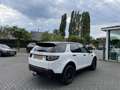 Land Rover Discovery Sport MOTOR PROBLEM | 2.0 eD4 SE | LEER | PANO Blanc - thumbnail 2