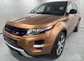 Land Rover Range Rover Evoque RR Evoque Dynamic*Pano*Totw*360°*Spur*LED* Braun - thumbnail 5
