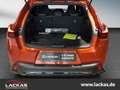 Lexus UX 250h F-SPORT DESIGN*LED*CARPLAY*15J. GARANTIE Orange - thumbnail 16