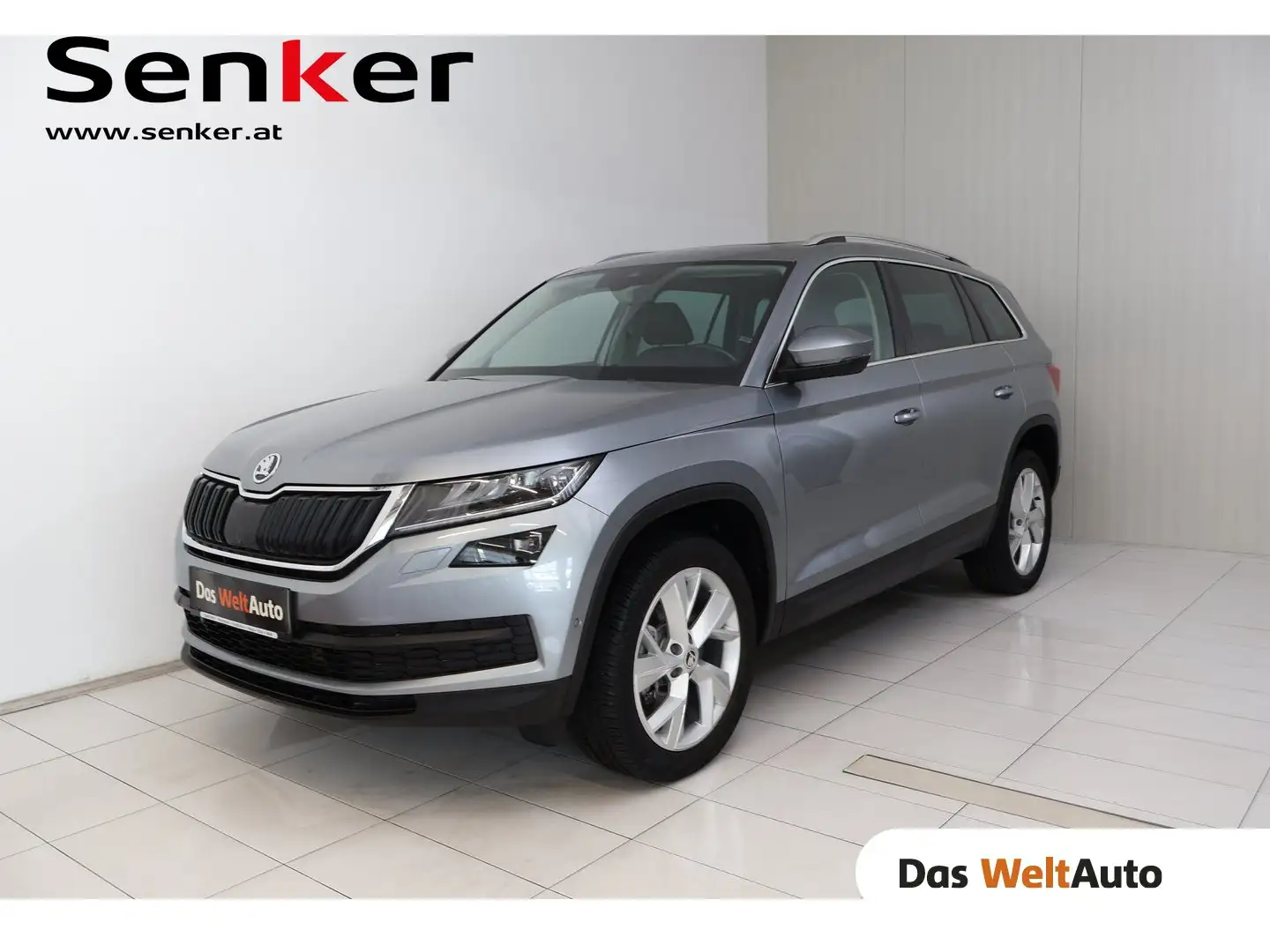 Skoda Kodiaq 4x4 Style SC TDI DSG Grau - 1