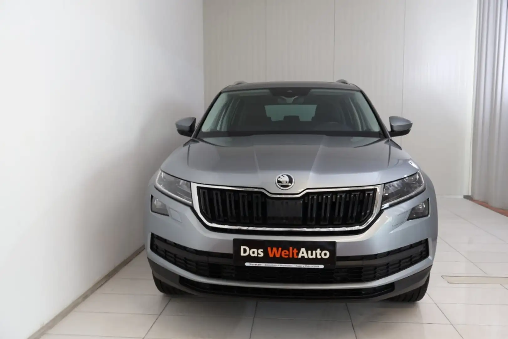 Skoda Kodiaq 4x4 Style SC TDI DSG Grau - 2