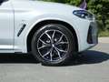 BMW X3 xDrive20d ZA M Sportpaket HiFi DAB LED WLAN Grijs - thumbnail 33