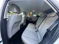 Land Rover Range Rover Evoque Range Rover Evoque 2.0D I4-L.Flw 150 CV AWD Auto Wit - thumbnail 18