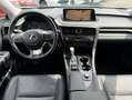 Lexus RX 450h 450hL AWD Executive Line HUD*CAM Gris - thumbnail 15
