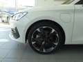 CUPRA Leon TRIBE eHYBRID DSG 150/204 Weiß - thumbnail 10
