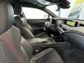 Lexus UX 250h 250 2.0 Hybrid F-Sport - thumbnail 20