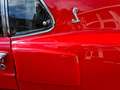 Ford Mustang GT350 Shelby matching numbers Rosso - thumbnail 15